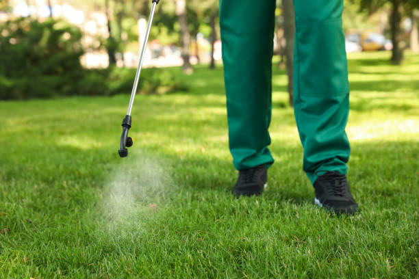 Best Best Pest Control Companies  in Brookfield, IL