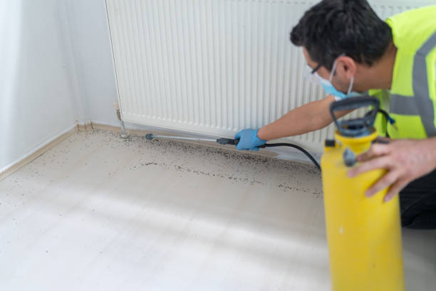 Best Pest Inspection Near Me  in Brookfield, IL